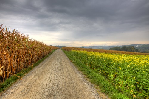 field clouds germany bavaria corn country dramatic dirt mustard stasburdan