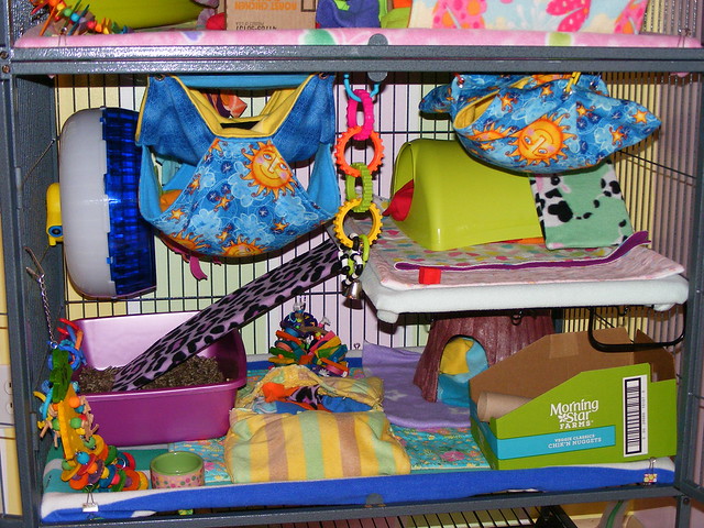 Lindsey's Girls' Vacay Cage