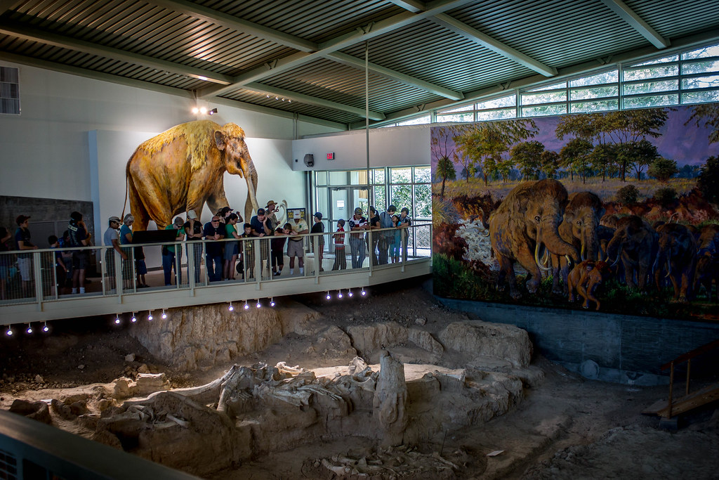 14 Tremendous National Parks in Texas 40 Waco Mammoth National Monument