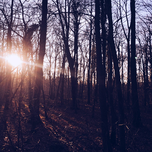 Forest by Olly Denton, We went to a refugee centre in a forest outside Cologne. It used to be an army camp. After the attac