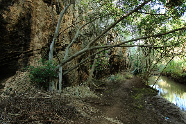 Makauwahi cave