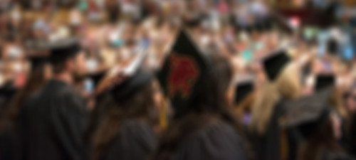 bobcat-graduation-cap-blur