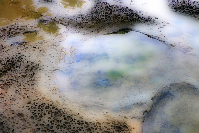 Tide Pool Abstract_2425