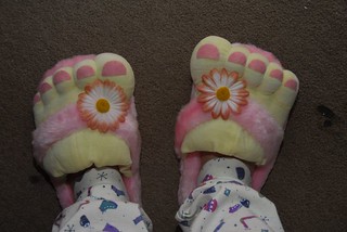 _DSC3669 | My slippers from Rob & Nancy. They rock. | Corey Balazowich ...