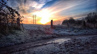 Frosty Chippenham morning. Lumia 950XL/Snapseed