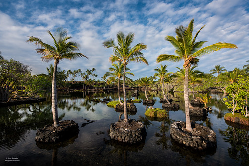 trip vacation usa holiday hawaii hi bigisland