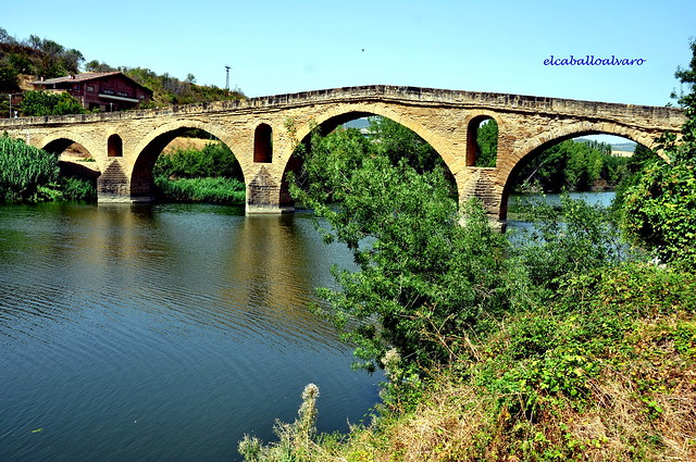 446 - Puente Románico - Puente la Reina (Navarra) - Spain.