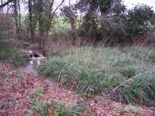 Spittal Brook, near A10 Underpass SWC Walk 168 Broxbourne Circular