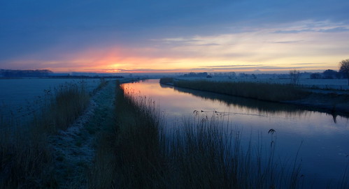 winter sky reed netherlands birds clouds sunrise landscape dawn polder waterscape
