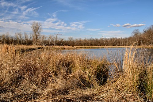 winter reeds landscape pond colorefex d7100 oxleynaturecenter sigma1770os