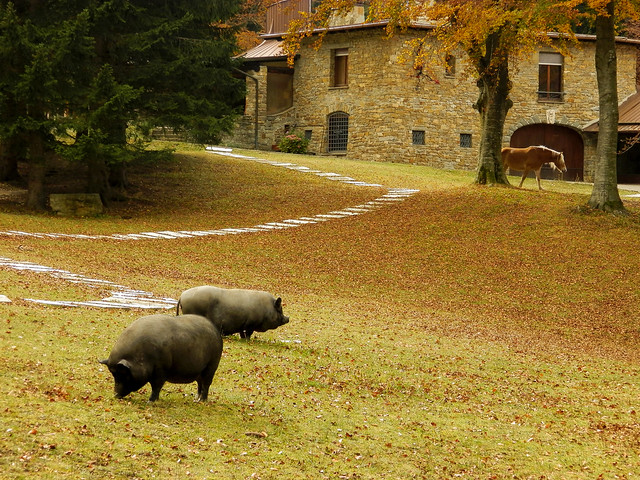 Country Living: Bucolic Autumn