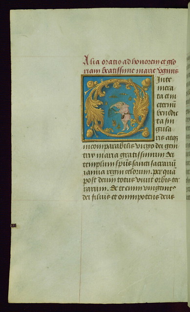 Book of Hours, Initial 