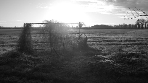 sun sunrise yorkshire frosty