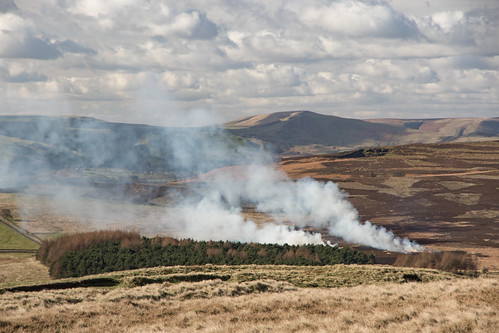 trees landscape fire heather derbyshire peakdistrict hunting grouse burning 7d moorland artificiallandscape newtopography newtopographics 7dmk2