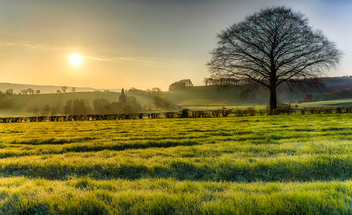 morning tree castle grass sunrise early belgium belgië hills goldenlight sippenaeken kasteelvanbeusdael