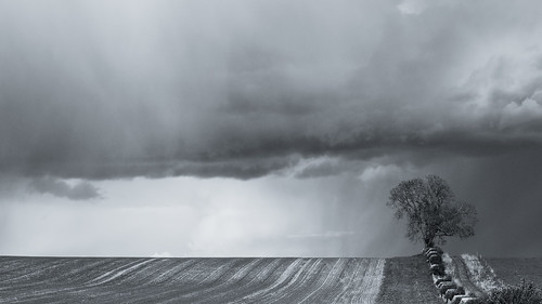 blackandwhite bw tree monochrome clouds landscape stormy hampshire desaturated showers cloudscape treescape rainclouds showerclouds nikon1v2 nikkorvr1030mm
