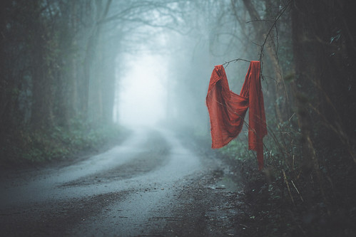 foggy | by Kate Vellacott
