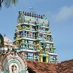 Sri Lanka - Jaffna - Régions