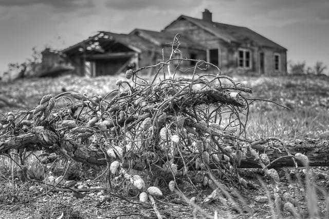 Abandoned house, Carmel, Indiana