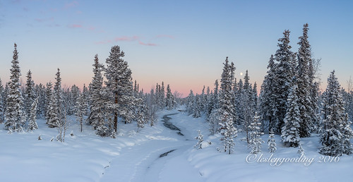 trees sunset panorama moon snow cold ice clouds forest river landscape evening stream frost sundown sweden arctic pines moonrise lapland lesleygooding 50mmzeissmilvus