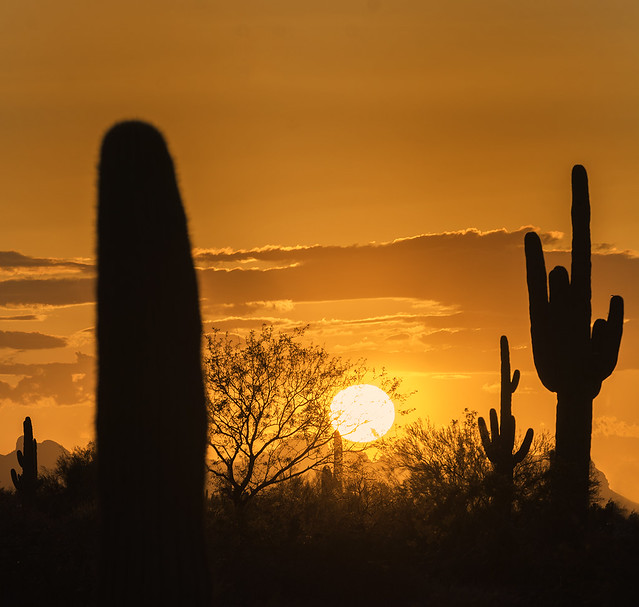 Obligatory Arizona Sunset Picture