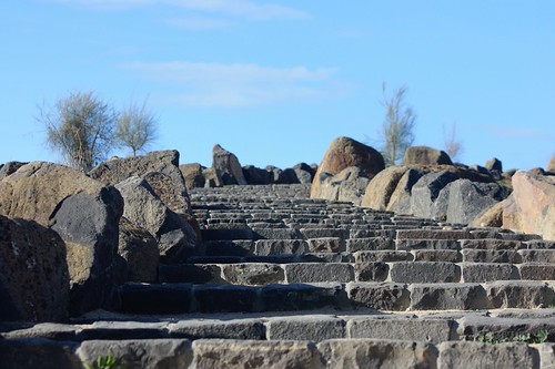 steps | by 7dii snapper