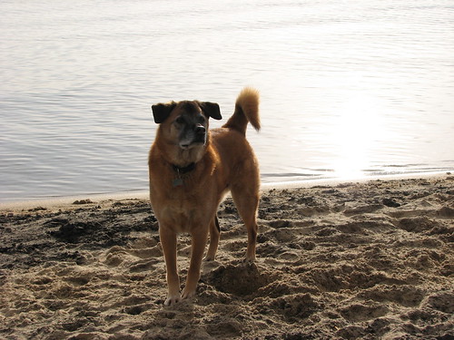 Kings Beach