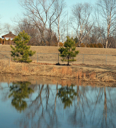 trees reflection pond gazebo