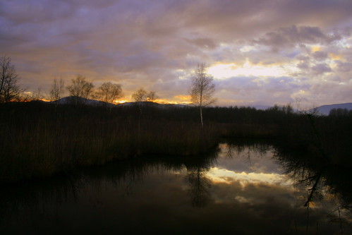 sunset nature soleil pond coucher reserve swamp marais étang réservenaturelle lavours