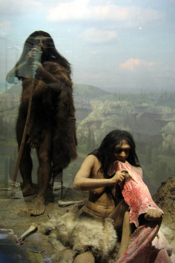 NYC - AMNH: Spitzer Hall of Human Origins - Neanderthal di… | Flickr