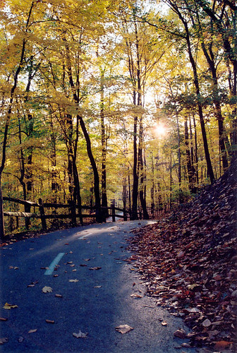path-color | by Chris Thibo