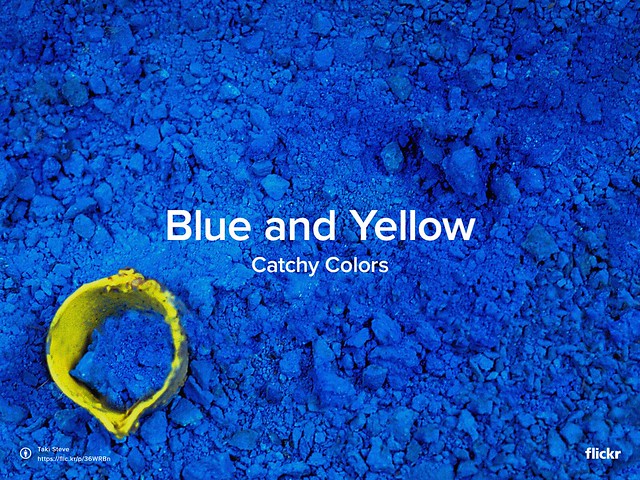 Catchy Colors - Blue and Yellow