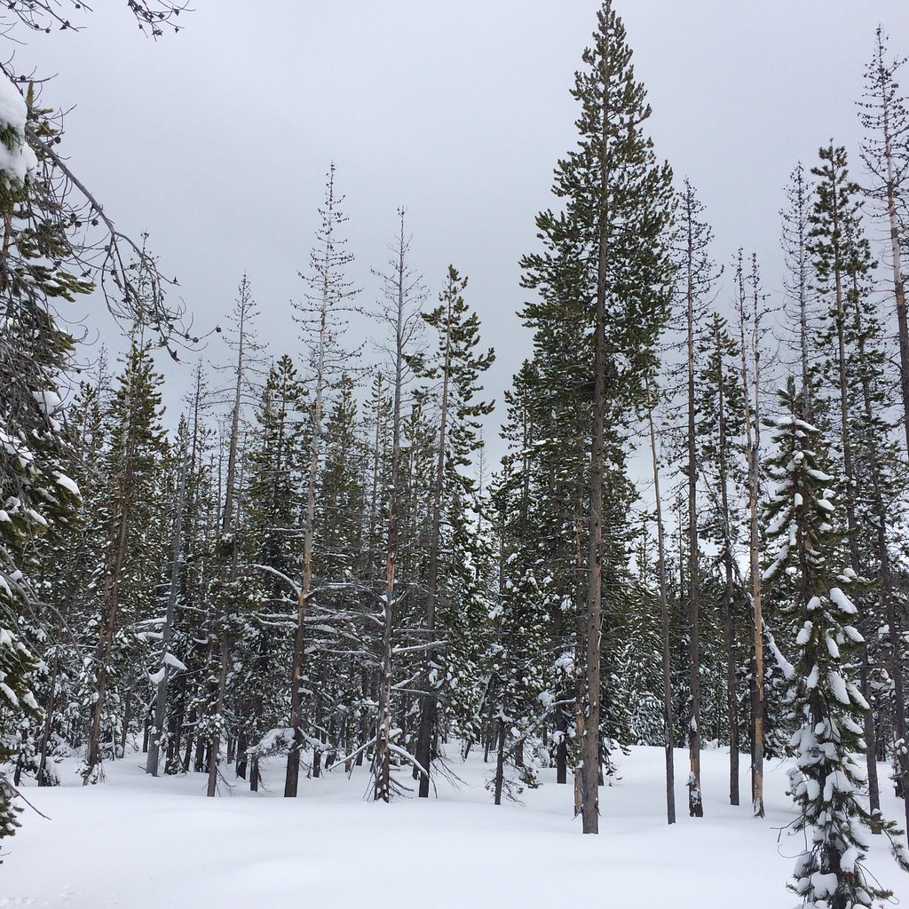 Swede Ridge Loop