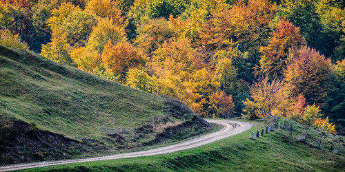road autumn trees landscape nikon scenery noflash foliage romania nikkor polarizer ro prahova d700 80400mmf4556g județulprahova secarie