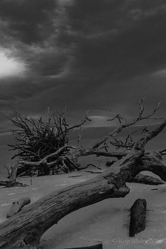 Meetup_BlackRockBeach_3-26-16 (6 of 60) by Rob Bixby, meetup jacksonvillefloridasunrisebigtalbotisland