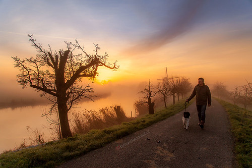 mist sunrise beesd betuwe betuwefotograafnl