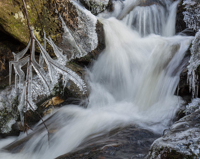 Wee Falls and Icy Branches.