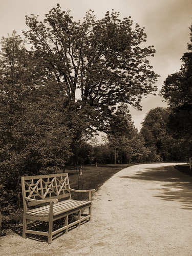 trees light monochrome sepia bench landscape spring alley mood quiet shadows peaceful atmosphere arbres lumiere serene dirtroad chemin banc allee ambiance tranquille serein chemindeterre