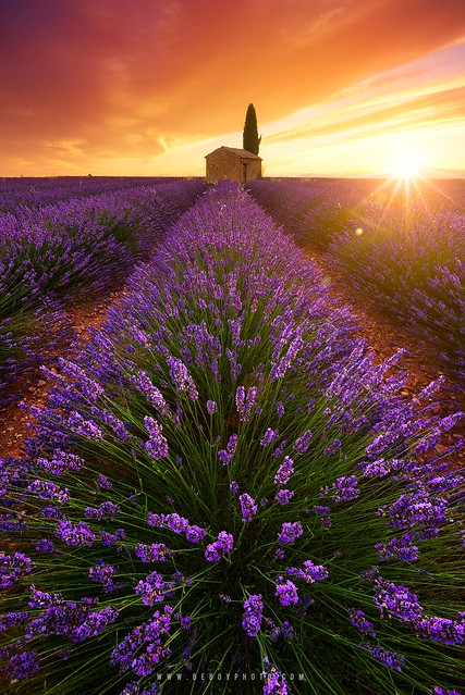 Soul of Provence (France)