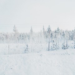 Winter land.  #allwhite #vsco #minimalist #nature #whileinbetween