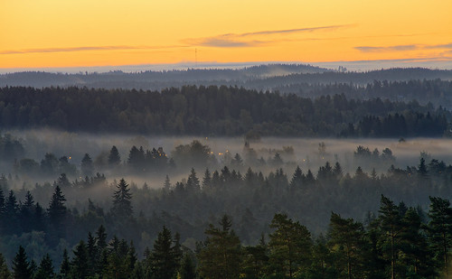 morning autumn orange mist lake tree fall nature weather misty fog forest sunrise finland season landscape countryside haze woods scenery colorful europe glow outdoor vibrant background hill foggy scenic peaceful aerialview calm fantasy silence mysterious mystical glowing magical idyllic hdr mystic