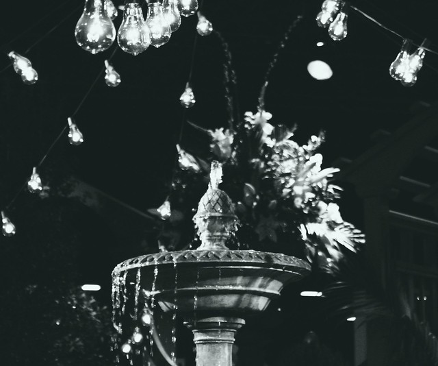 boston flower show - fountain