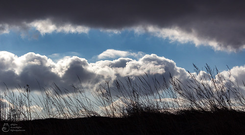 cloud grass insrerburg landscape sky winter зима небо облако пейзаж трава черняховск