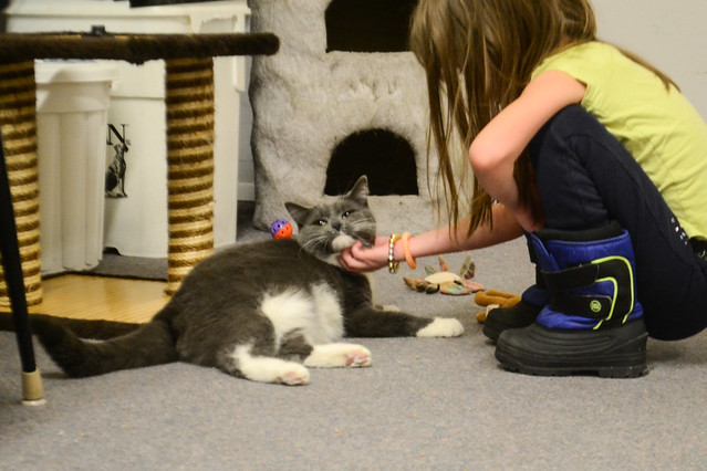 Visiting with the Cats at Second Chance