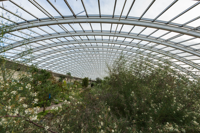 Inside the largest single span greenhouse in the world, National Botanic Garden of Wales, Llanarthne, Carmarthenshire, Wales