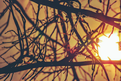 a moment by rasa@1975, morning travel sunset sky sun texture nature nikon flickr outdoor serbia explore nikkor artland ligh