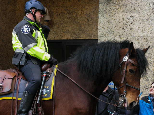 Police Horse- Harvest