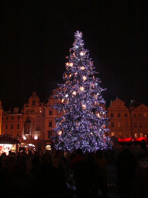Christmas Tree, Prague