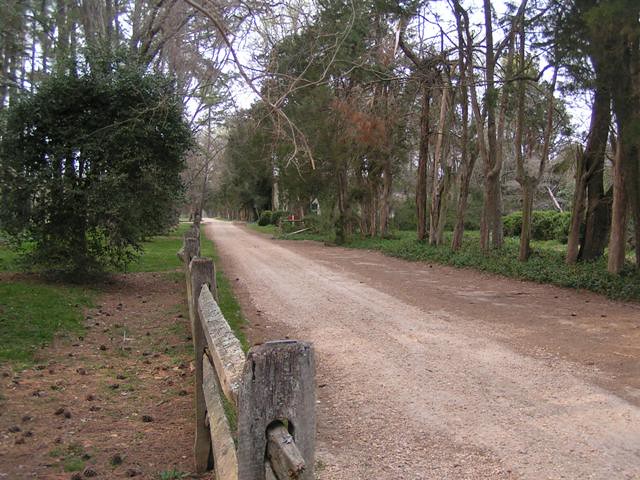 Plantation Road