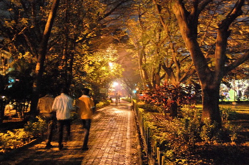 Walk in the park | by Aditya Bhelke